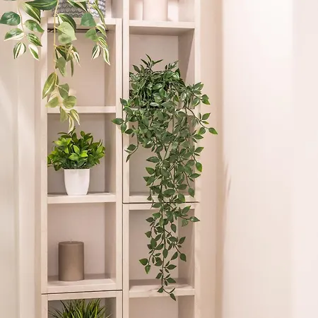 Morosini - 200mt Porta Susa Appartement